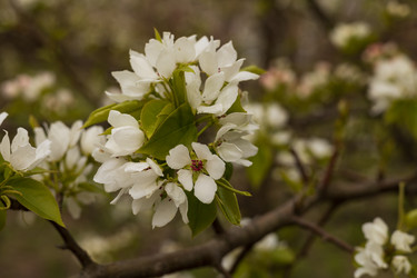 Similar image 22637004