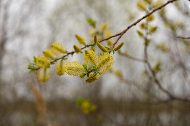 Similar image 22637006