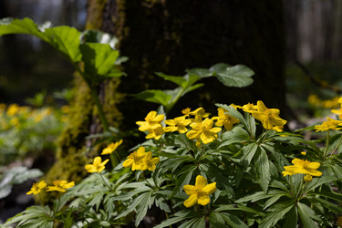 Similar image 22637007