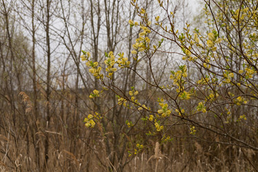 Similar image 22637008