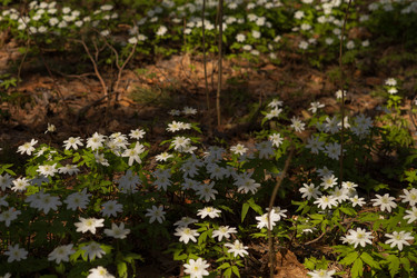 Similar image 22637017