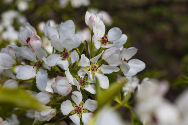 Similar image 22637018