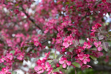 Similar image 22637019