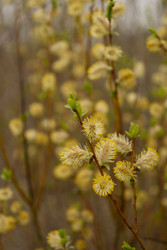 Similar image 22637020