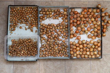 Similar image 22637021