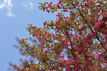 Similar image 22637022