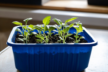 Similar image 22637032