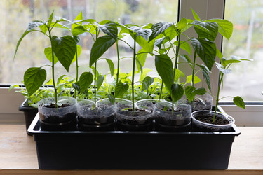 Similar image 22637033