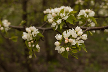 Similar image 22637034