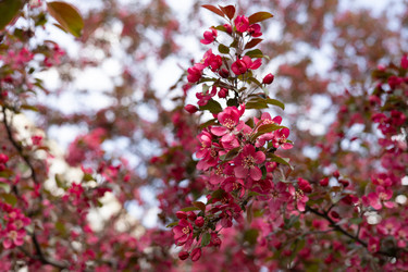 Similar image 22637037