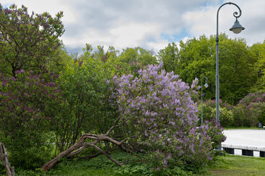 Similar image 22637039