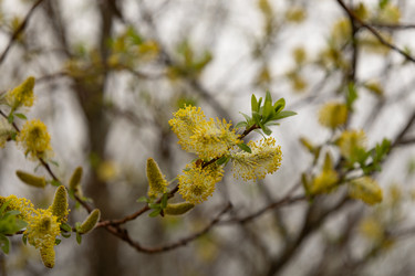 Similar image 22637047