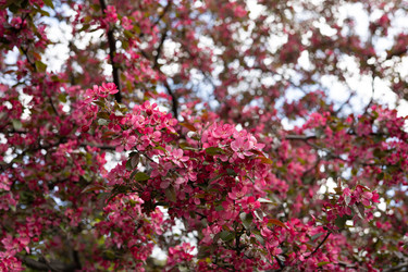 Similar image 22637048