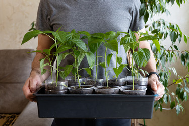 Similar image 22637049