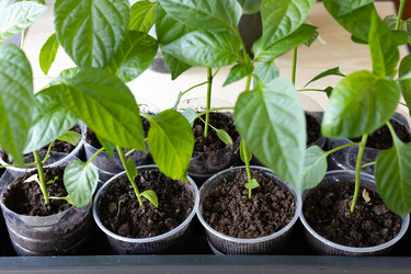 Similar image 22637050