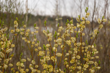 Similar image 22637051