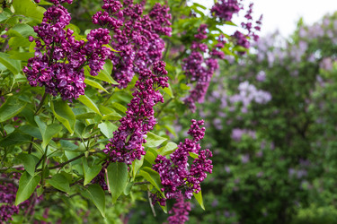 Similar image 22637052