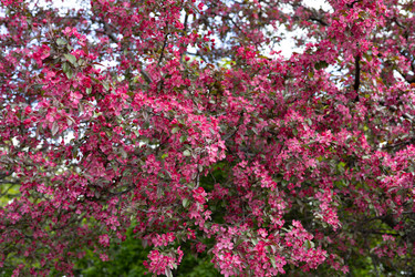 Similar image 22637062