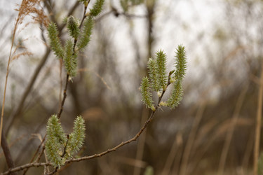 Similar image 22637063