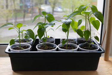 Similar image 22637064