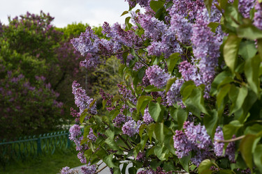 Similar image 22637065