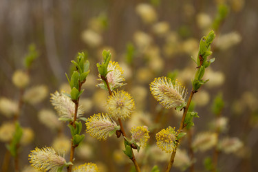 Similar image 22637066