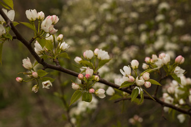 Similar image 22637067