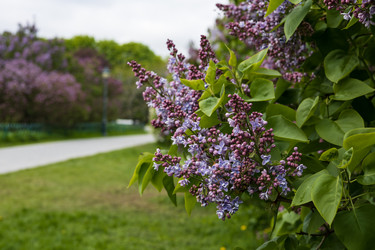 Similar image 22637068