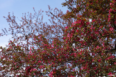 Similar image 22637077