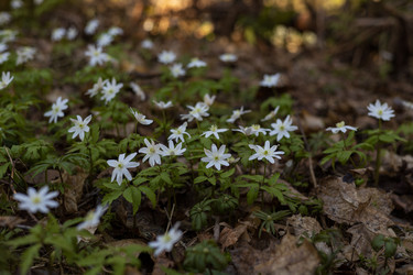 Similar image 22637078