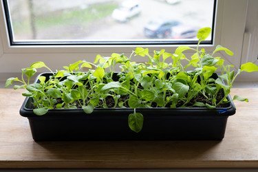 Similar image 22637079