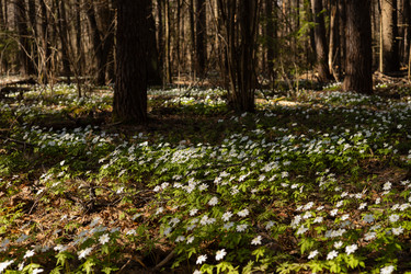 Similar image 22637081