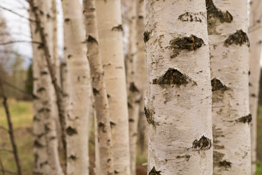 Similar image 22637082