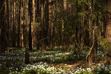 Similar image 22637093