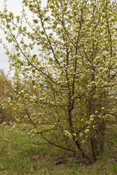 Similar image 22637094