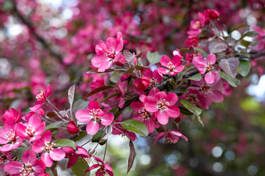 Similar image 22637095