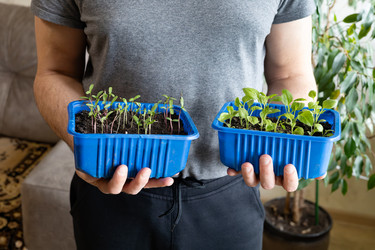 Similar image 22637096