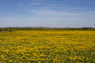 Similar image 22637107