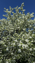 Similar image 22637108