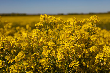 Similar image 22637109