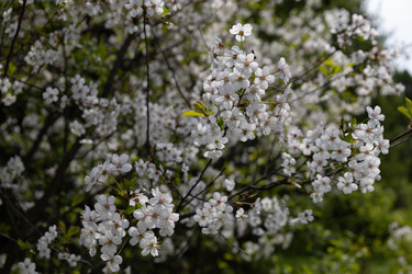 Similar image 22637111