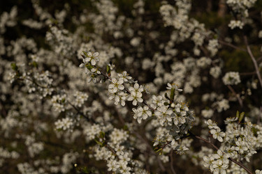 Similar image 22637112