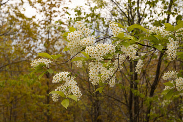 Similar image 22637113