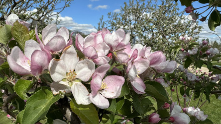 Similar image 22637114