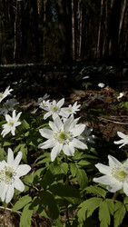 Similar image 22637122