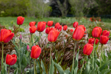 Similar image 22637123