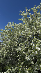 Similar image 22637124