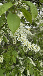 Similar image 22637125