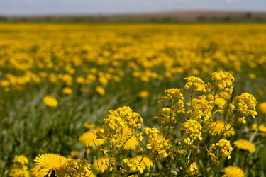 Similar image 22637126