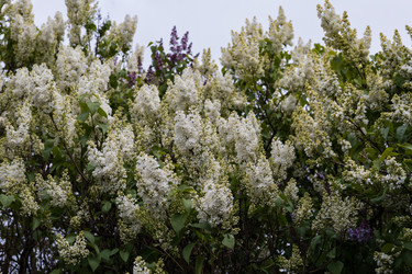 Similar image 22637127